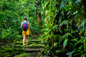 Naklejka na ściany i meble girl photographer walks through dense Costa Rican tropical rainforest; hiking through the jungle in Costa Rica's braulio carrillo national park near san jose