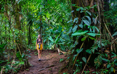 girl photographer walks through dense Costa Rican tropical rainforest; hiking through the jungle in...