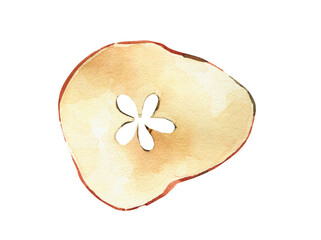 Watercolor Dried apple clipart. Christmas decor.