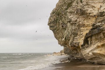 Scogliera di Bulbjerg, Danimarca