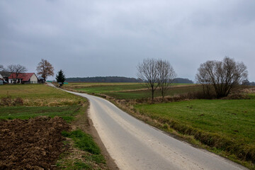 Fototapeta premium A dirt road among autumn halves in misty weather