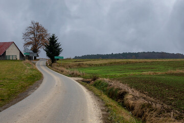 Fototapeta na wymiar A dirt road among autumn halves in misty weather