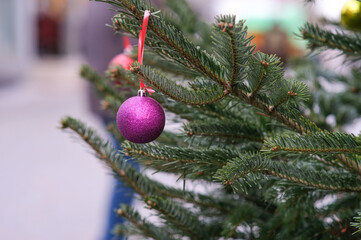 Einkaufen zur Adventszeit: Nahaufnahme einer weihnachtlich geschmückten Tanne mit einer pinken...