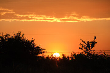 Dark foliage of small trees and bush against bright colorful sunset sky with vivid clouds illuminated with setting sun light