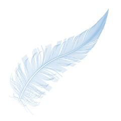 Blue feather, detailed illustration over a transparent background, PNG image