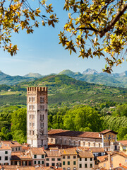 Panoramic aerial view of Lucca, in Tuscany, during a sunny afternoon; the bell tower belongs to the San Frediano church
