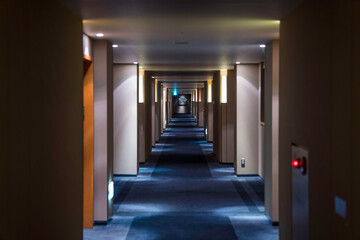 This image shows a view down a high end hotel hallway.