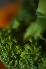 green broccoli macro photo