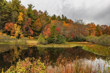 Obraz premium Autumn drive along the Blue Ridge Parkway in North Carolina