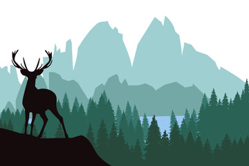 Deer with antlers posing on the top of the hill with mountains and the forest in the background.