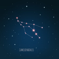 Constellation Camelopardalis scheme in starry sky. Open space. Vector illustration Camelopardalis constellation through a telescope.  © iryna