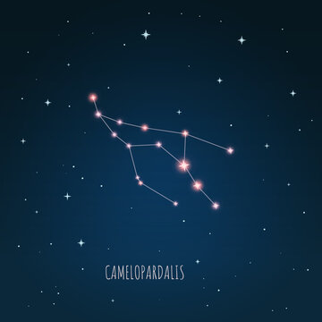 Constellation Camelopardalis scheme in starry sky. Open space. Vector illustration Camelopardalis constellation through a telescope. 