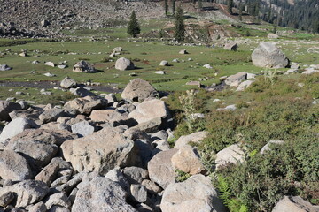 stones in a beautiful meadows 