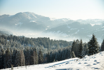 Winter landscape with snow in mountains Carpathians, Ukraine
