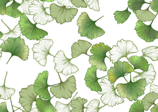Ginkgo biloba leaves. Seamless pattern, background. Vector . In botanical style