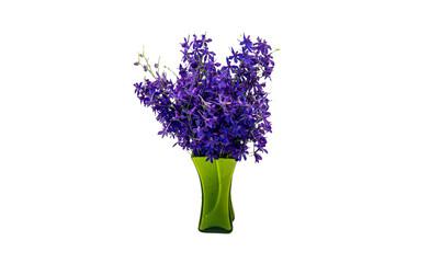 Purple flowers in a green vase on a white background
