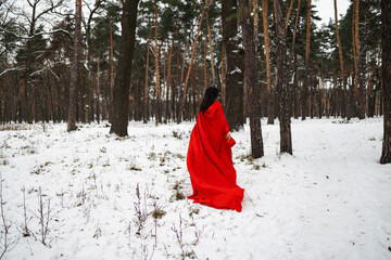 Little Red Riding Hood is going away on a snowy road. Dramatic and fantastic shooting.
