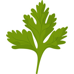 green parsley leaf
