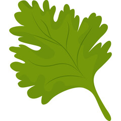 green parsley leaf