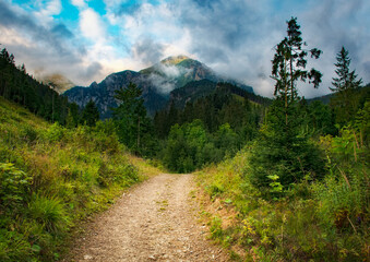 the path towards the morning foggy landscape