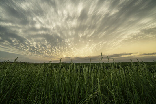 Dramatic skies over the landscape seen during a storm chasing tour in the midwest of the United States; Kansas, United States of America