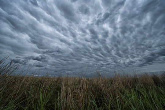 Dramatic skies over the landscape seen during a storm chasing tour in the midwest of the United States; Kansas, United States of America