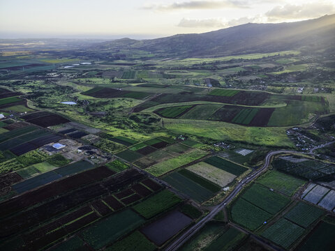 Aerial image of the agricultural land on the island of Oahu; Oahu, Hawaii, United States of America