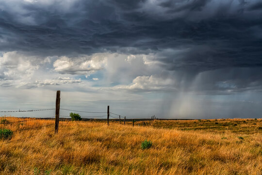 Storm clouds and rainfall over fields in the prairies; Saskatchewan, Canada