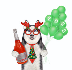 Dog husky in new year tie holds wine and balloons