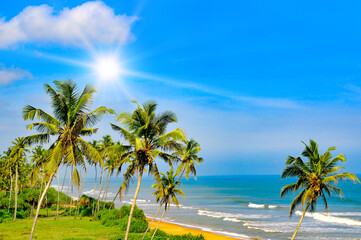 Coconut palm tree with Tropical beach and sun.