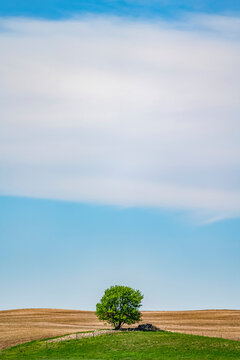 Big sky in blue and white over the flat prairie landscape; Saskatchewan, Canada