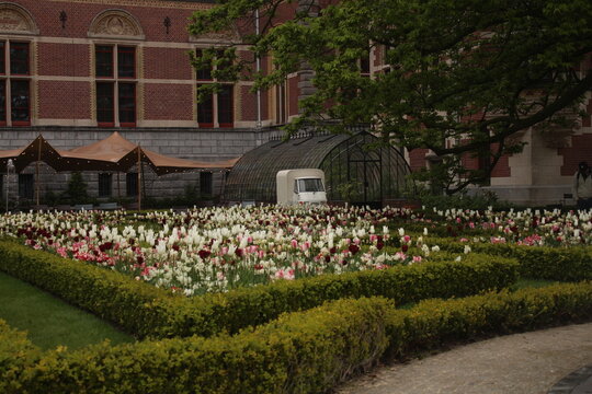 Amsterdan, Netherlands