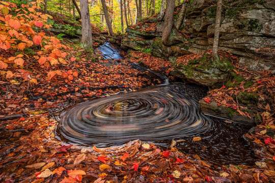 Long exposure of leaves circling in a small pond near the Oxtongue River rapids; Ontario, Canada