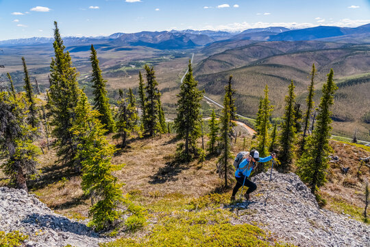 Woman hiking on top of Sapper Hill along the Dempster Highway and enjoying the scenery on a sunny day; Yukon, Canada
