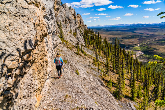 Woman hiking along the Dempster Highway enjoying the scenery on top of Sapper Hill; Yukon, Canada