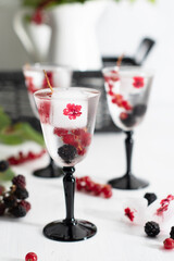 transparent gin and tonic with ice and fresh red currants and blackberries 