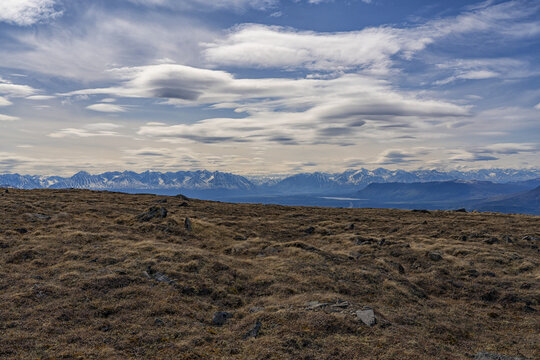 Brown, grassy vegetation and rocks sticking up from the tundra in front of a silhouetted mountain range with a cloudy blue sky; Haines Junction, Yukon, Canada