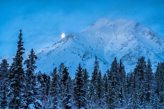 Wintery landscape with snow-covered mountain and glowing moon and a snowy forest in the foreground; Whitehorse, Yukon, Canada