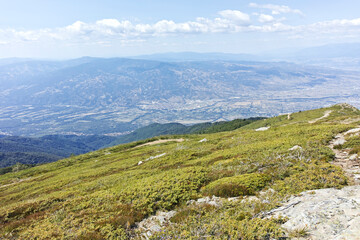 Fototapeta na wymiar Summer landscape of Belasitsa Mountain, Bulgaria