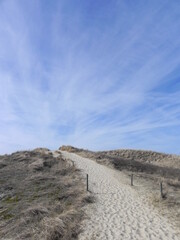 Dünenwanderweg auf Amrum - Weg zum Strand und Meer