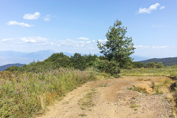 Summer landscape of Belasitsa Mountain, Bulgaria