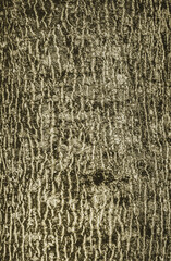 natural organic textured grunge background