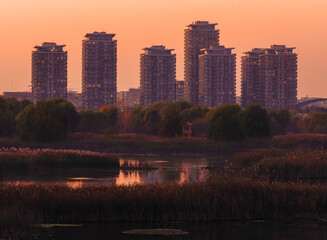 City Sunset Tower Delta Nature