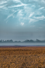 clouds over the field