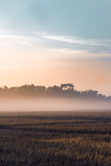 sunrise over the field