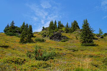 Obraz premium a hiking trail overlooking the picturesque alpine landscape in the Austrian Alps of the Schladming-Dachstein region (Steiermark or Styria, Austria)