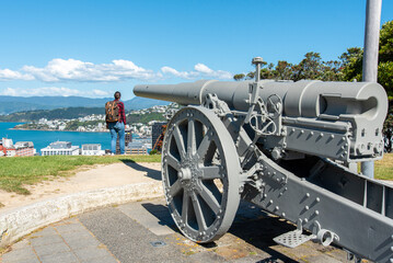 Old cannon with view to Wellington, Botanic garden hill