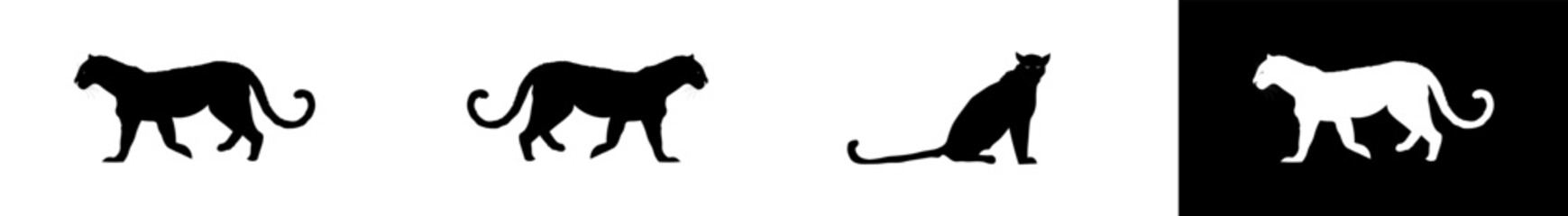 Silhouette of leopard walking and sitting.