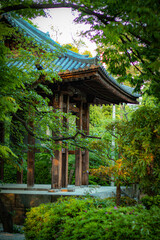 japanese garden with pavilion