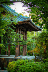 Fototapeta premium japanese garden with pavilion